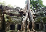 angkor wat tour